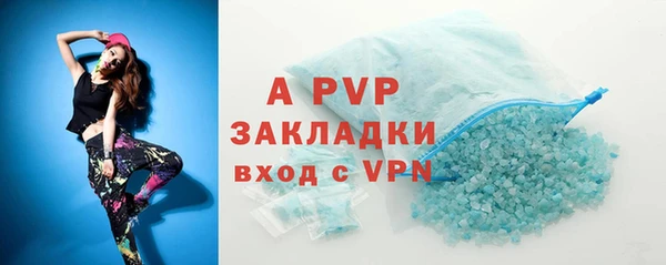 прущие грибы Белоозёрский