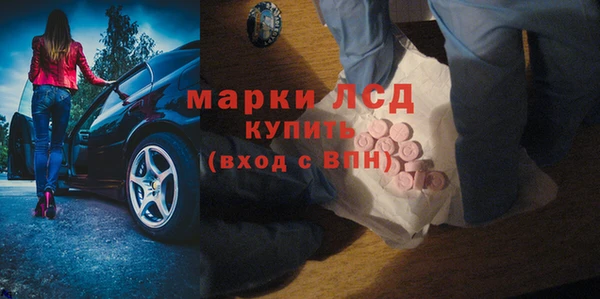 прущие грибы Белоозёрский