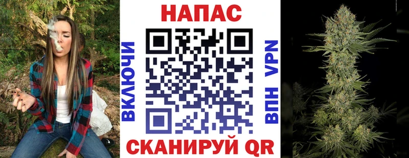 Бошки марихуана сатива  Светлый 